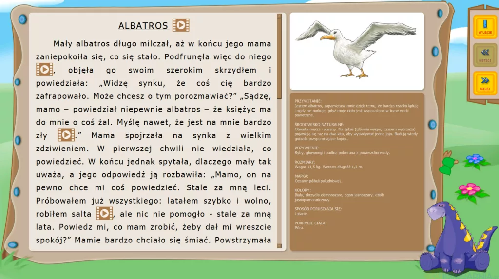 zoominki, albatros